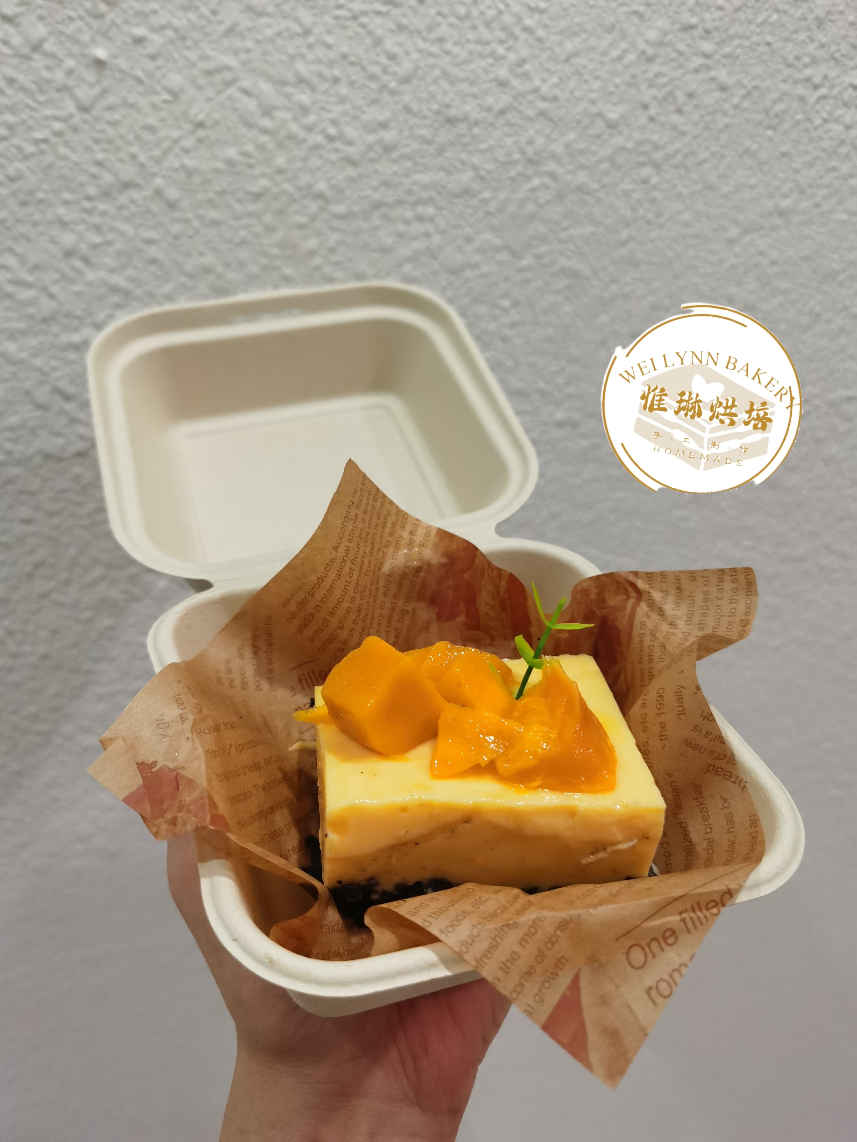 Mango Yogurt Mousse Cake
