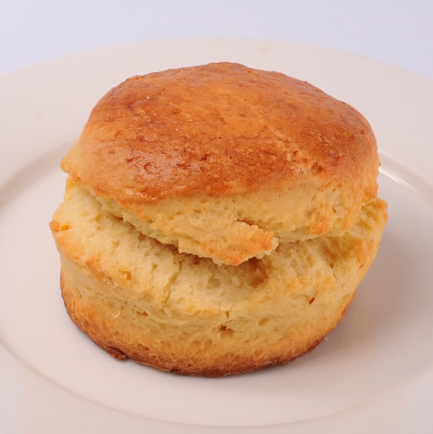Plain Scone